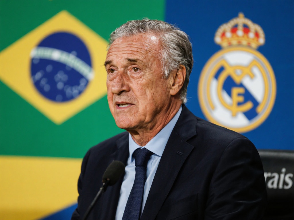 虽然在国际 虽然在国际